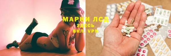 мяу мяу мука Арсеньев